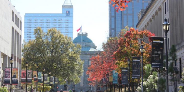 Scouting Trip to Raleigh: What to See in the Area
