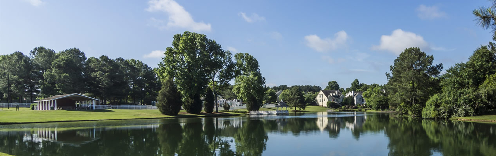 Leafy Cary NC family neighborhood with top-rated schools